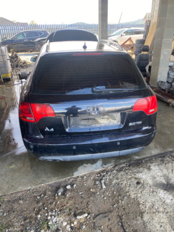 Dezmembram Audi a4 b7 2.0 TDI BPW(1 ax cu came ) cutie automata an 2007