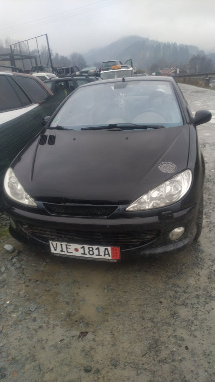 Dezmembram Peugeot 206 cabrio an fab 2002 motor 2.0 benzina