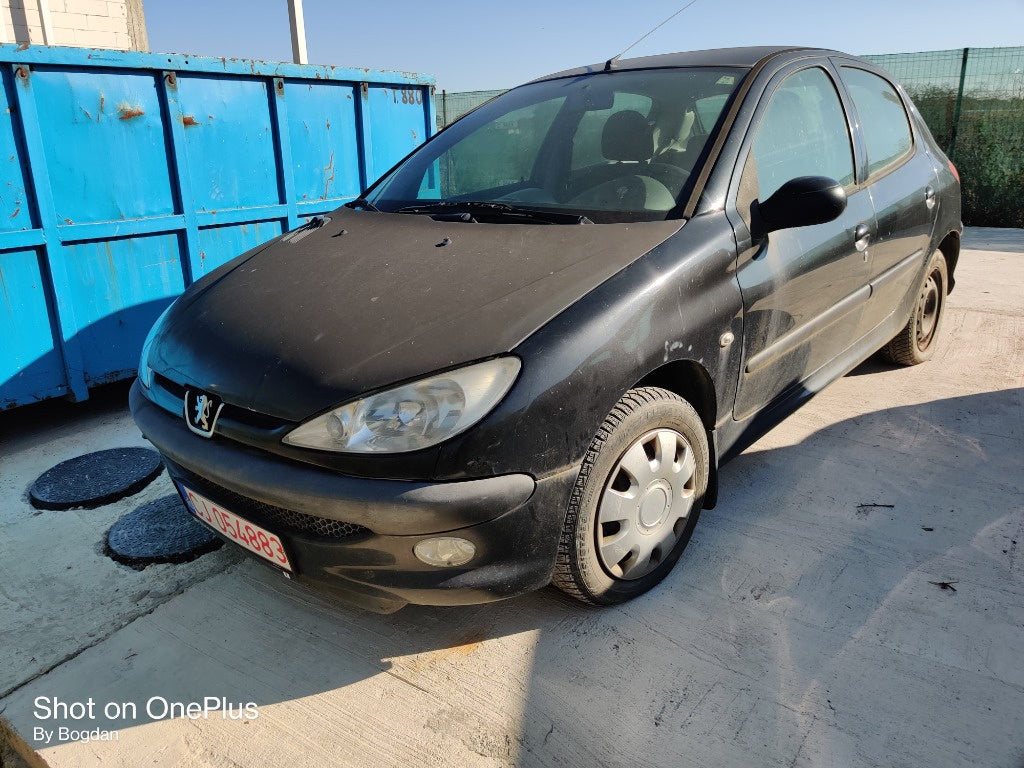 Dezmembram Peugeot 206 Hatchback
