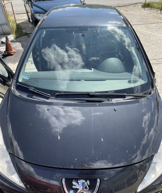 Dezmembram Peugeot 207 [2006 - 2009] Hatchback 5-usi
