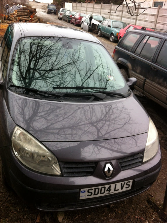 Dezmembram Renault Scenic 2 [2003 - 2006] Minivan 5-usi 1.4 MT (98 hp) II (JM0/1_)