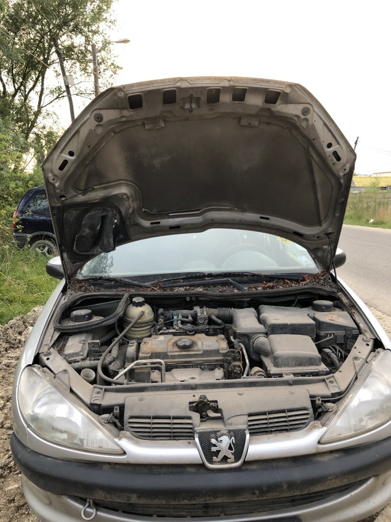 Dezmembrari # Peugeot 206, 2001 -- 1.6i 65kW, cod motor: NFZ -- 4 usi, HB