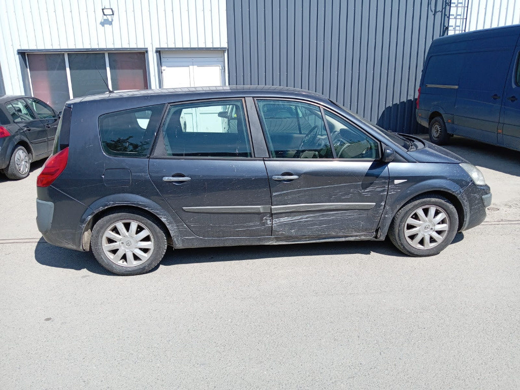 Dezmembrez / Dezmembrari Renault Scenic 2 2008 Hatchback 1.9