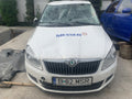 Dzmembrez Fabia 2 1,6 CAY 2013