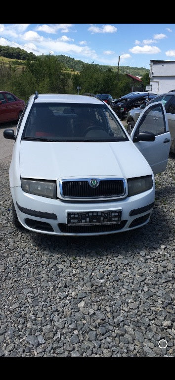 Piese DEZMEMBRARI skoda fabia 1.9 tdi an 2005