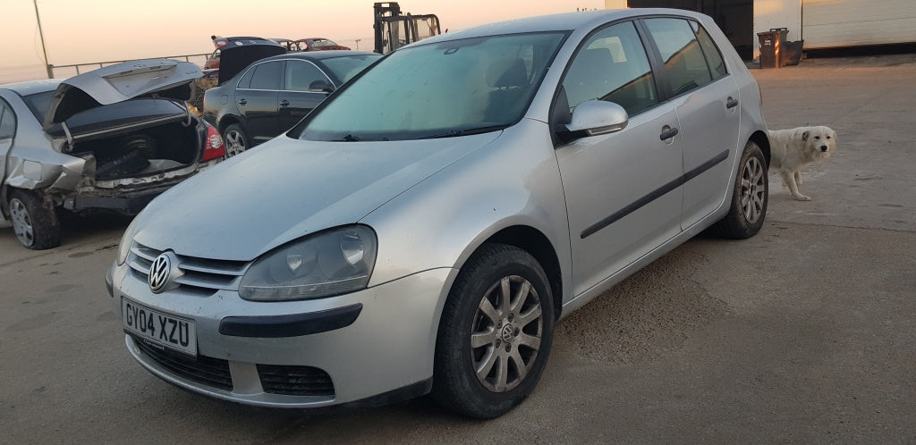 Vw Golf 5 din 2005, motor 1.9 tdi, tip BKC