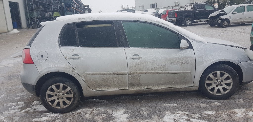 Vw Golf V din 2005, motor 1.9 tdi, tip BKC